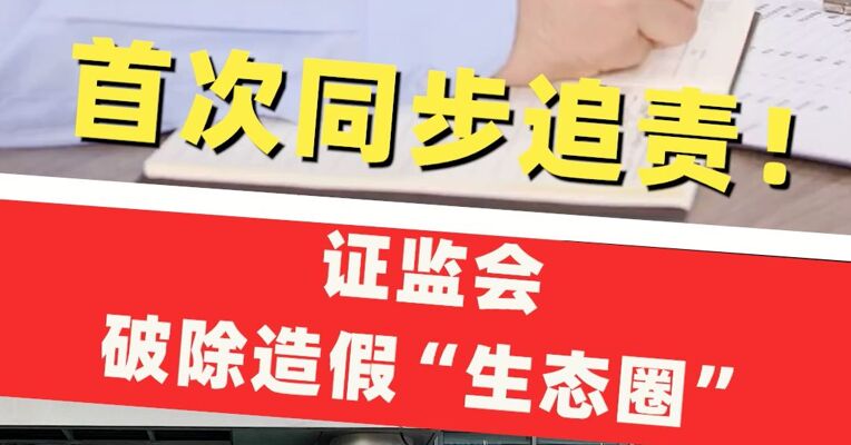 首次同步追责！证监会破除造假“生态圈” ，将坚持“追首恶”与“打帮凶”并举