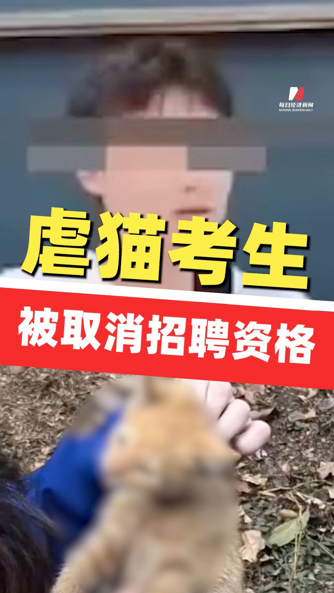 桂林回應(yīng)虐貓考生事件：當(dāng)事人不符合招聘條件取消其資格
