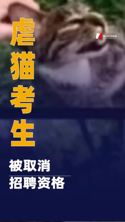 桂林平樂(lè)縣人社局： 虐貓考生被取消招聘資格