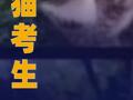 桂林平樂(lè)縣人社局： 虐貓考生被取消招聘資格