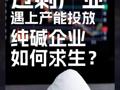 過剩產(chǎn)業(yè)遇上產(chǎn)能投放，純堿企業(yè)如何求生？#純堿 #期貨 #交易