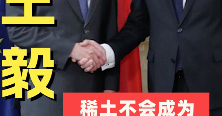 王毅：稀土不会成为中欧之间的问题