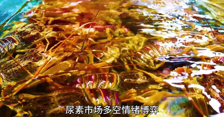 农业需求回暖，尿素工业需求为何疲软？