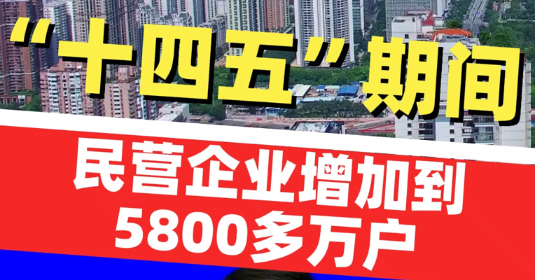营商环境越来越好！“十四五”期间民营企业增加到5800多万户