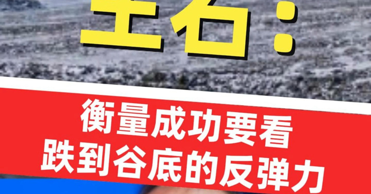 万科集团创始人王石：衡量一个人成功的标准，要看他跌落谷底的反弹力