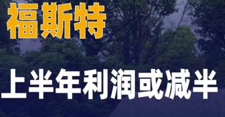 光伏胶膜龙头福斯特上半年利润 或减半，部分新业务亏损