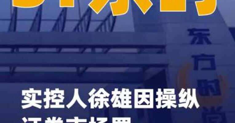 ST东时：实控人徐雄因操纵 证券市场罪一审被判六年半