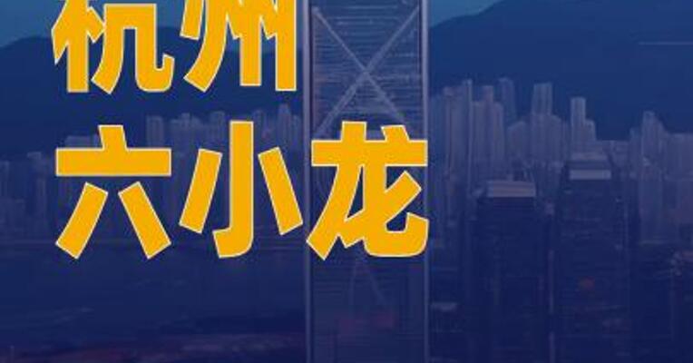 “杭州六小龙”两位创始人 成香港特首智囊