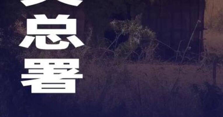 海关总署：将对53个非洲建交国实施零关税