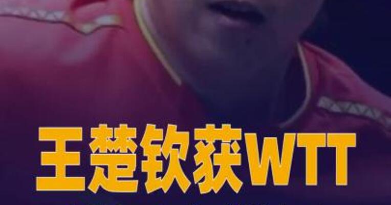 王楚钦获WTT美国大满贯男单冠军