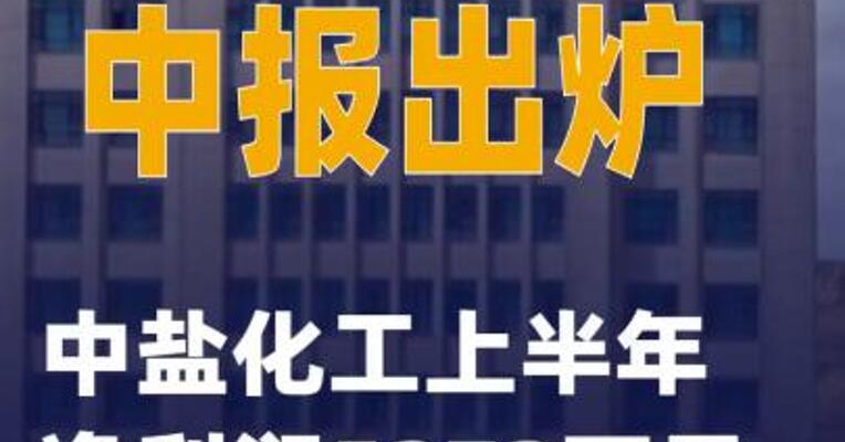 A股首份中报出炉：中盐化工 上半年净利润5272万元