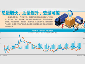 不惧关税战，上半年外贸总量创新高