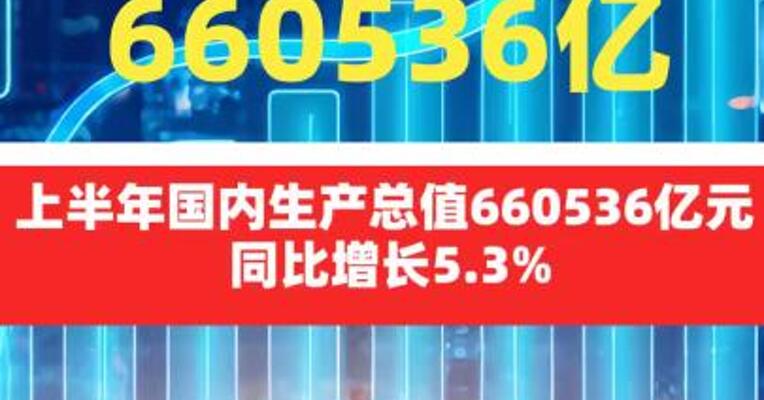 上半年国内生产总值660536亿元 同比增长5.3%