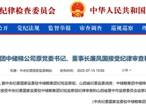 最新！廉凤国被查