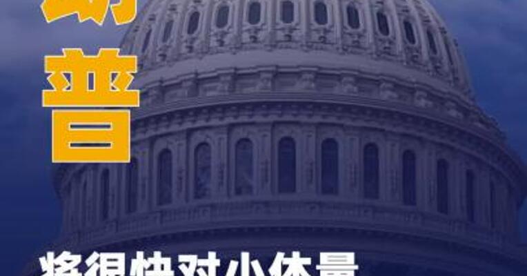 特朗普：将很快对小体量国家 发关税函 数额预计“略高于10% ”