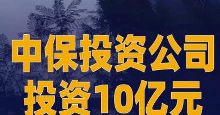 中保投资公司投资10亿元 入股华电新能