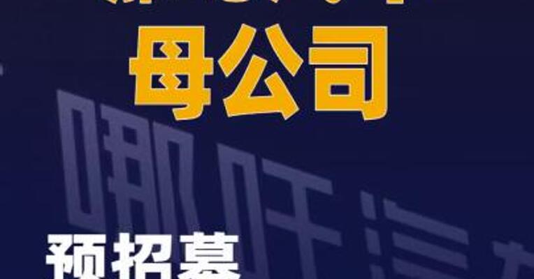 哪吒汽车母公司预招募重整意向投资人