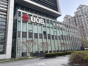 大华银行中国批发银行部主管辛韬：越来越多的中国企业选择国内融资、海外经商