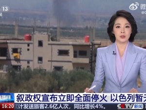 叙利亚政权宣布立即全面停火！美大使：以叙领导人已同意停火！联合国：冲突已导致近600人死亡