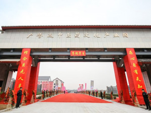 聚焦高质量发展：中华老字号广誉远重磅亮相中国零售药店年度大会
