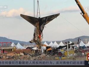 飞行员关错发动机？韩国通报济州航空空难事故最新调查结果！韩飞行员协会驳斥：“甩锅”飞行员，歪曲事实