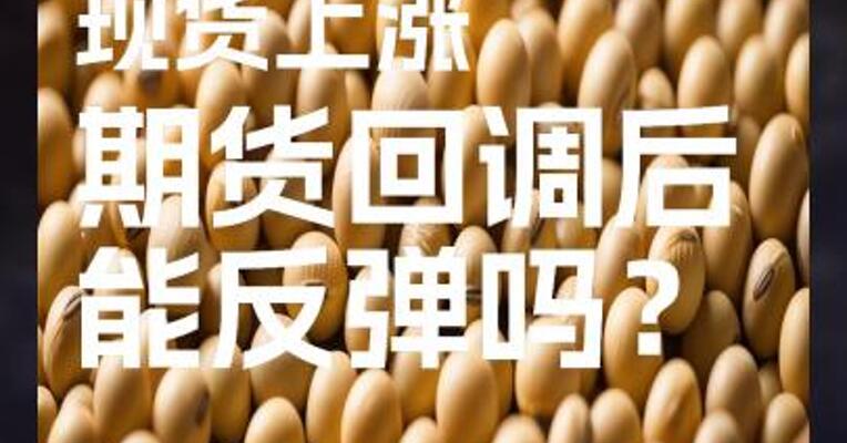 国内豆粕现货上涨，期货回调后能反弹吗？