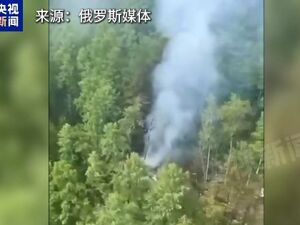 俄罗斯失事客机上有一名中国公民！此前初步信息显示机上无人生还