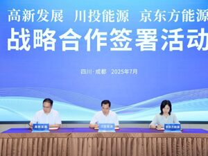 全链条赋能 成都高新区推进新型储能示范项目建设