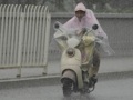 台风、大风、暴雨三预警齐发！江浙沪等地雨势猛烈，河北暴雨洪涝灾害严重！北京发布暴雨橙色预警信号，多地区将出现暴雨