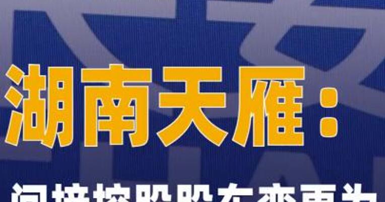 湖南天雁：间接控股股东变更为 中国长安汽车