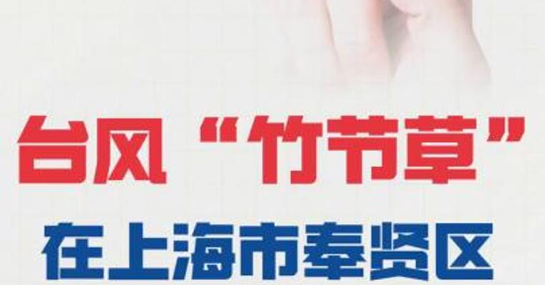 台风“竹节草” 在上海市奉贤区沿海再次登陆