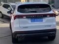 女子10万元买车摇中88888车牌，经销商证实！目击者：有二手车贩出价110万元！交警：号牌不能过户