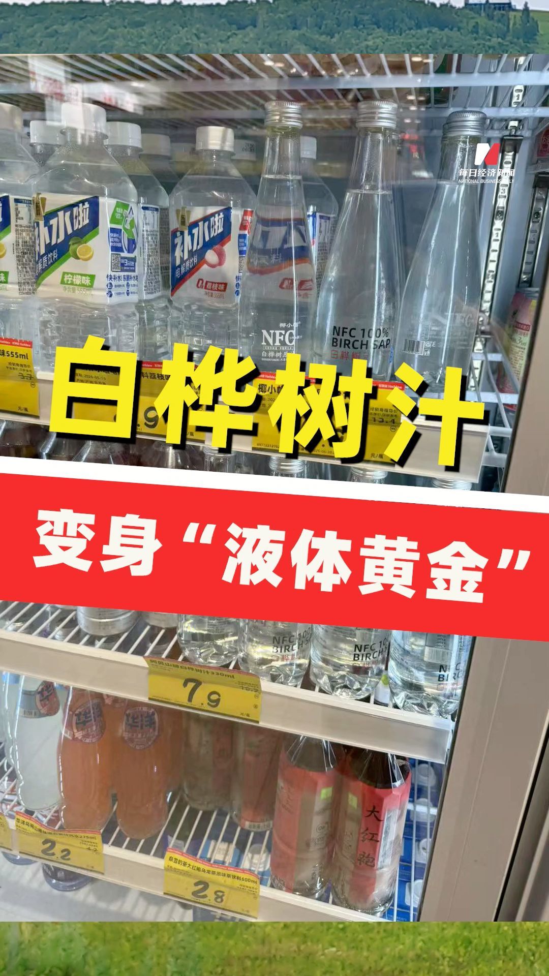 白樺樹汁變身“液體黃金”：農(nóng)夫山泉匯源搶灘背后，林間原液憑什么身價暴漲？