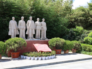 铭记历史 缅怀先烈丨河南确山：提琴奏响乡村振兴新乐章