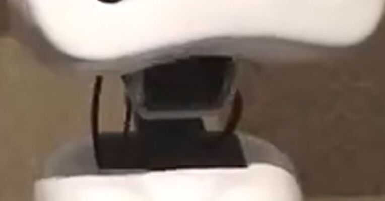 没有的机器人正在风靡日本