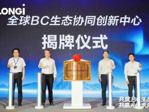 布局两年后，隆基绿能扩容“BC生态圈”