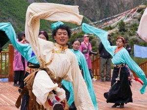 西藏自治区主席嘎玛泽登答每经问：“十四五”期间西藏28类社会事业领域项目已落实投资超236亿元
