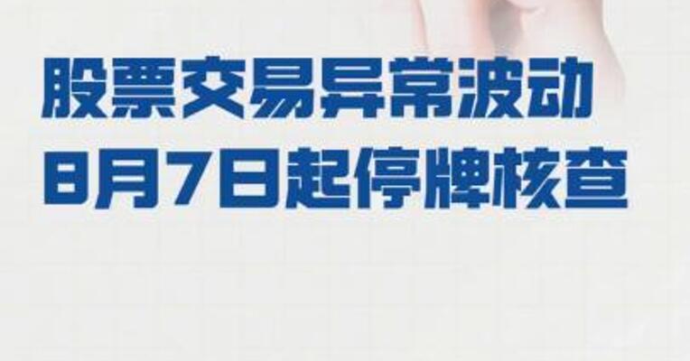 *ST亚振： 股票交易异常波动  8月7日起停牌核查