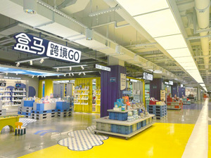 “10岁”不是闯的年纪？盒马拟关闭所有“X会员店”