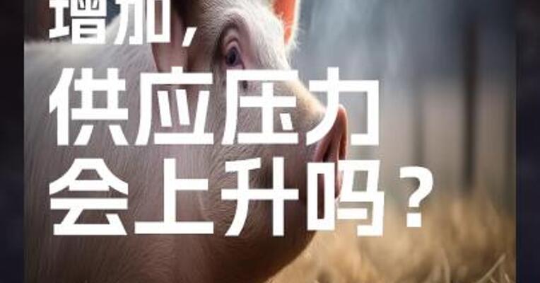 猪企出栏量增加， 供应压力会上升吗？