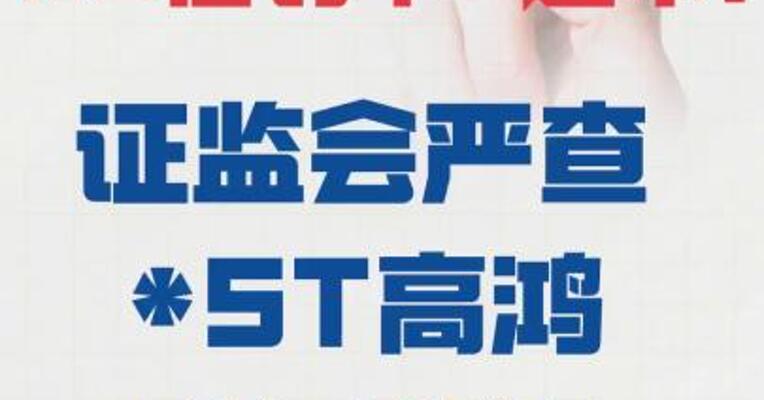 1.6亿罚单+退市！ 证监会严查 *ST高鸿财务造假