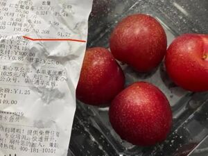 网友称“月薪2万元吃不起”，该公司回应水果太贵：我们不会迎合消费者，在教育消费者成熟