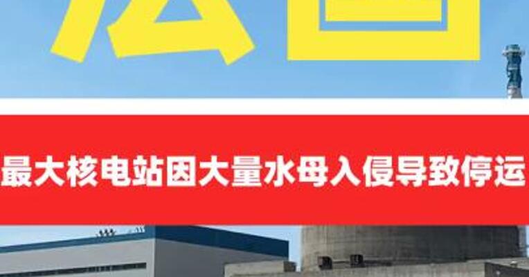法国最大核电站因大量水母 入侵导致停运
