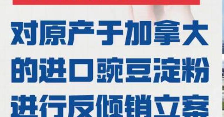 商务部： 今起对原产于加拿大的 进口豌豆淀粉 发起反倾销立案调查
