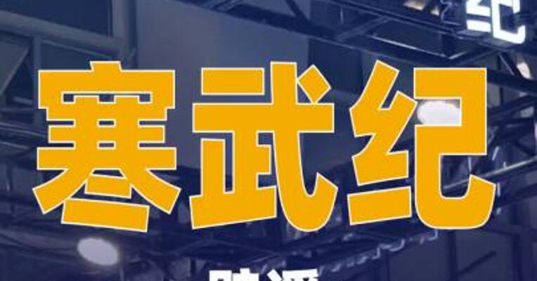 寒武纪辟谣：预定大量载板订单等信息不实