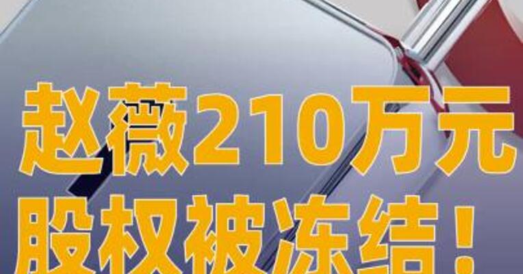 赵薇210万元股权被冻结