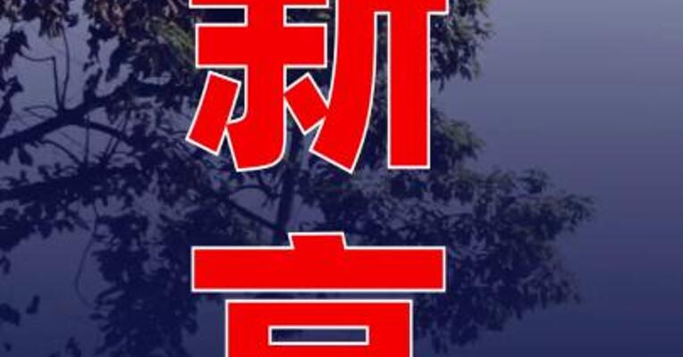 沪指创近四年新高