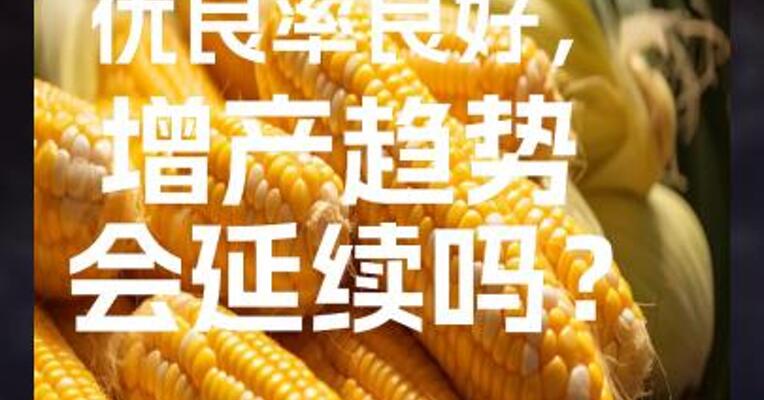 美玉米优良率良好，增产趋势会延续吗？