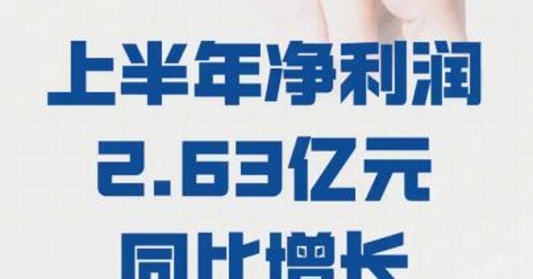 大族数控： 上半年净利润2.63亿元  同比增长83.82%