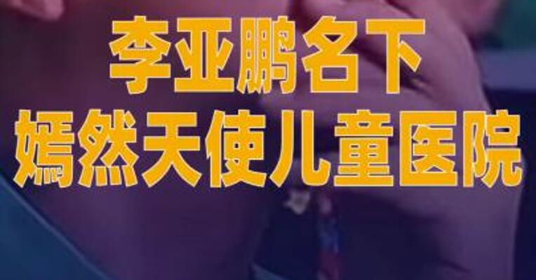 李亚鹏名下嫣然天使儿童医院 被执行1381万元